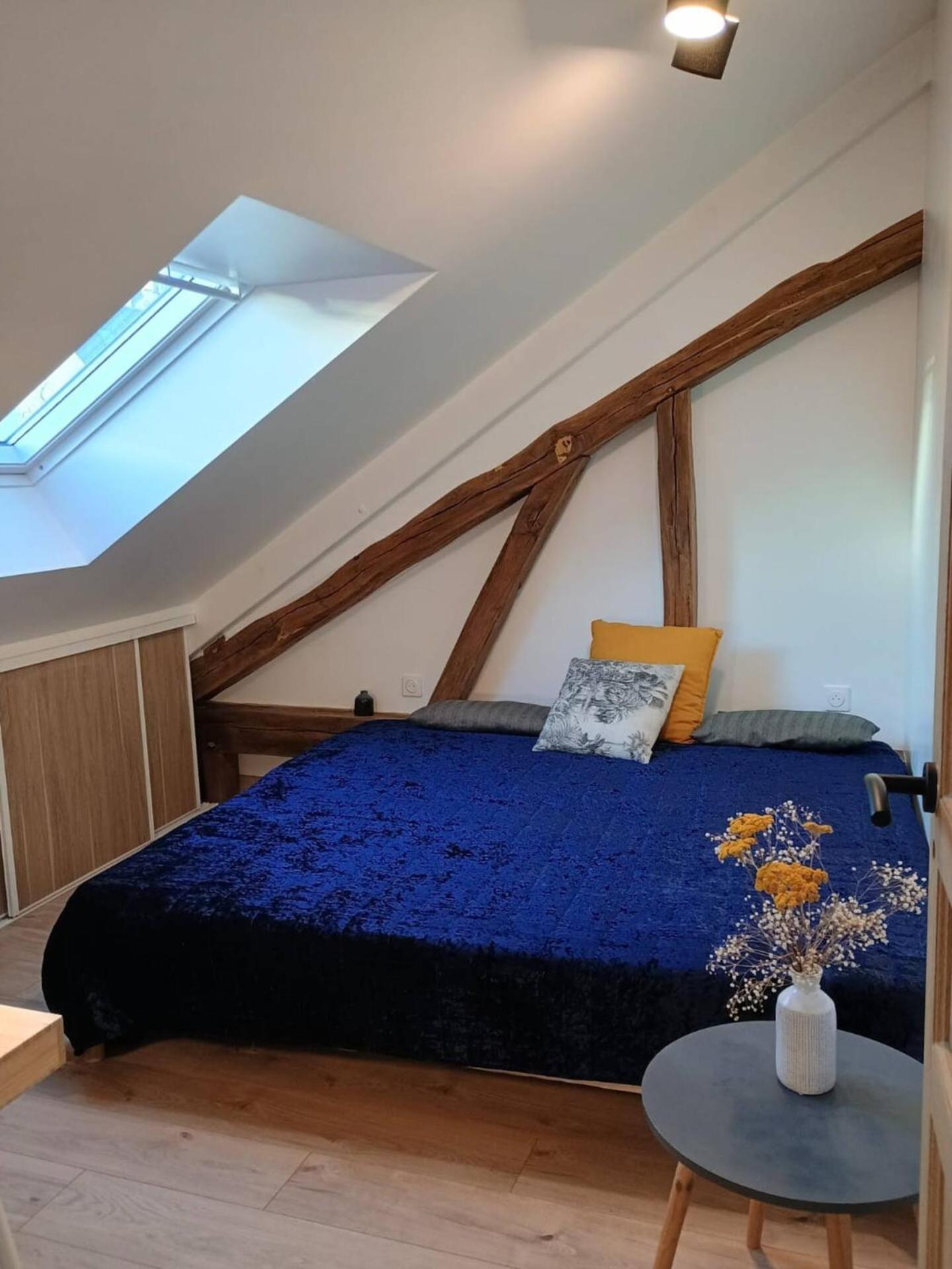 Domaine De Charme Au Coeur D'Orleans Classe 3 Etoiles - Bords De Loire - 21 Couchages Avec Parkings Prives Exteriör bild